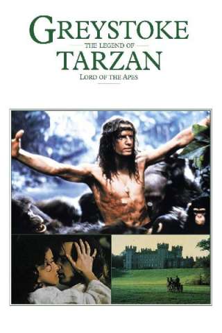 Greystoke - la leggenda di Tarzan il signore delle scimmie streaming