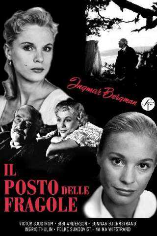 Il posto delle fragole streaming