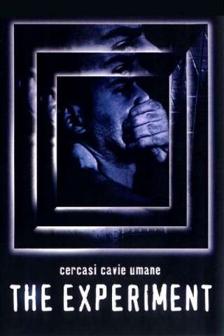 The Experiment - Cercasi cavie umane streaming