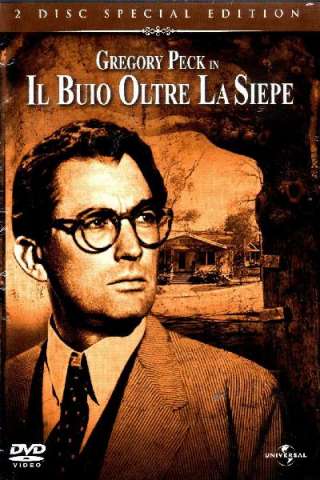 Il buio oltre la siepe streaming