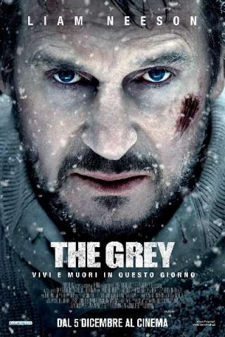 The Grey streaming