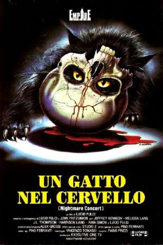 Un gatto nel cervello streaming