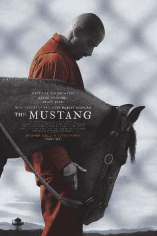 The Mustang streaming