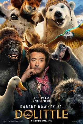 Dolittle streaming