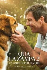 Qua la zampa 2 - Un amico è per sempre streaming
