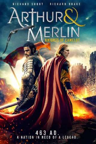 Arthur & Merlin: Knights of Camelot streaming