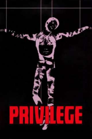 Privilege streaming
