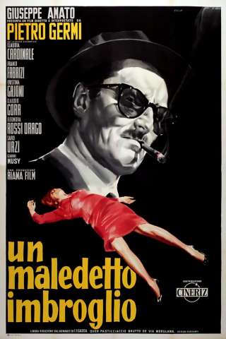 Un maledetto imbroglio streaming
