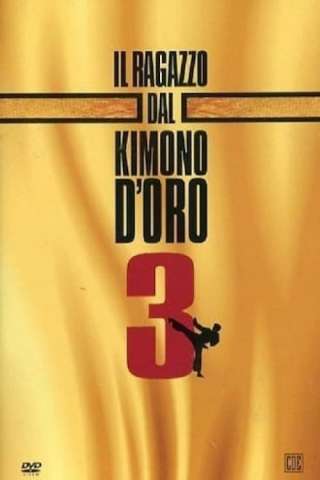 Il ragazzo dal kimono d'oro 3 streaming