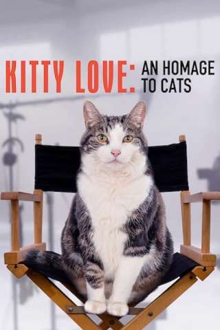 Kitty Love: Evviva i gatti! streaming