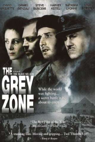 La zona grigia streaming