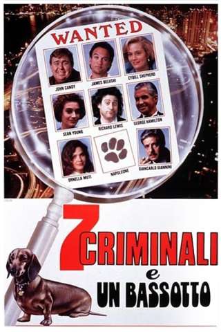 7 criminali e un bassotto streaming