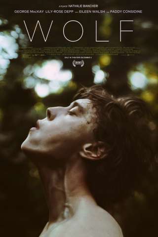 Wolf streaming