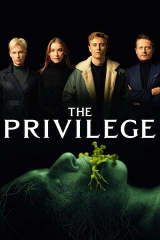 The Privilege streaming