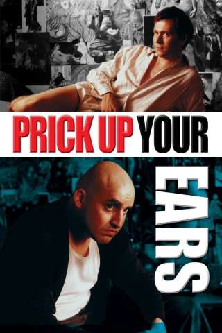 Prick Up - l'importanza di essere Joe streaming