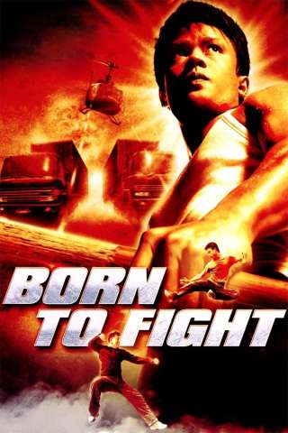 Born to fight - Nati per combattere streaming