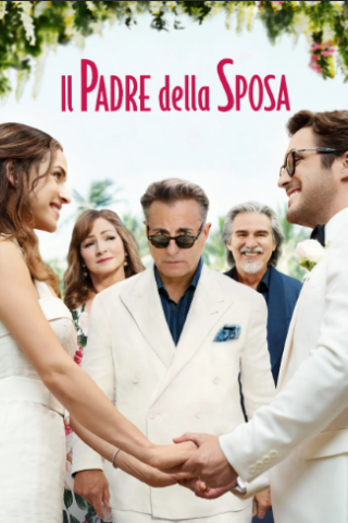 Il padre della sposa streaming