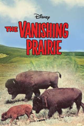 La grande prateria streaming