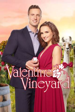 Un San Valentino molto speciale streaming
