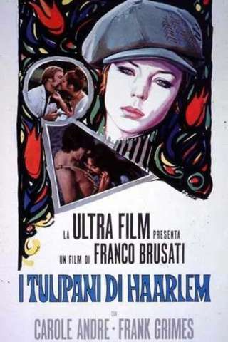 I tulipani di Haarlem streaming