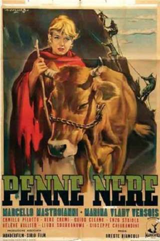 Penne nere streaming