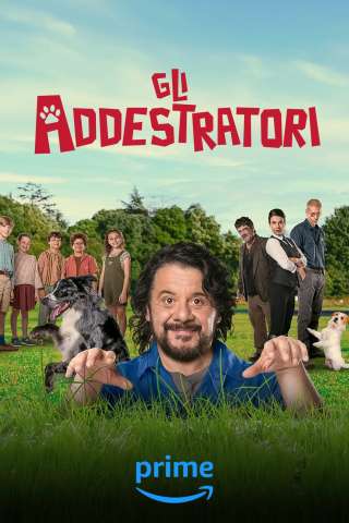 Gli addestratori streaming