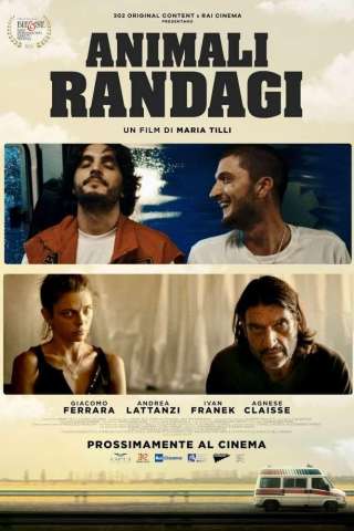Animali Randagi streaming