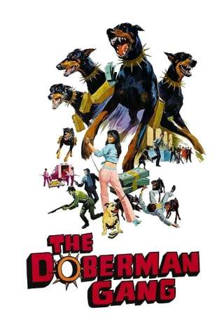La gang dei doberman streaming
