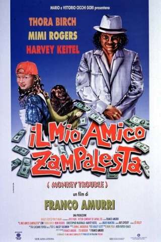 Il mio amico zampalesta streaming