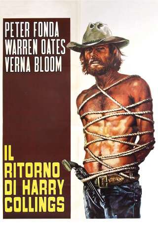 Il ritorno di Harry Collings streaming