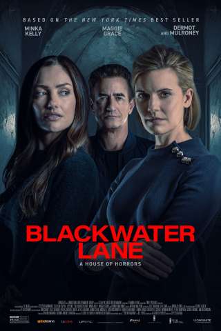 Blackwater Lane: La moglie imperfetta streaming